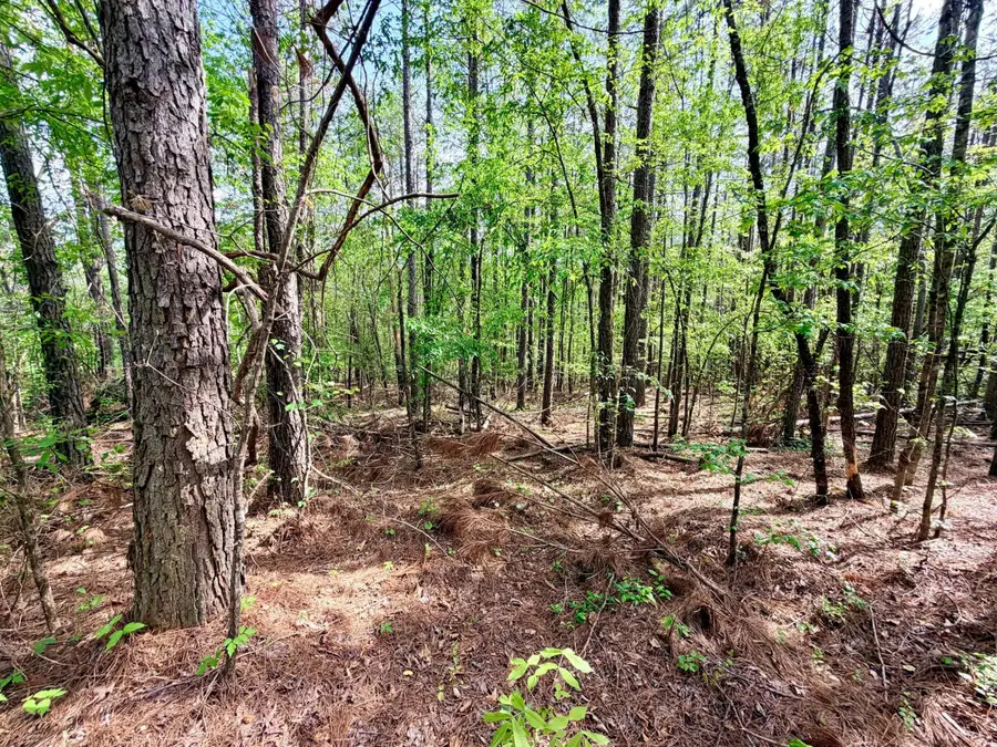 Cr 312, Tiplersville, MS 38674 - #3