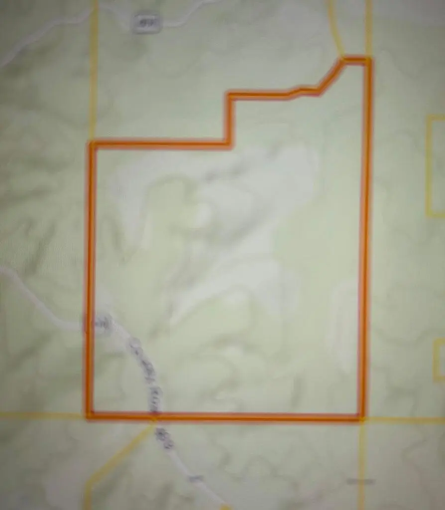 County Road 409, Falkner, MS 38629 - #2