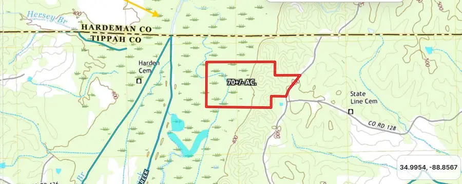 2951 County Road 100, Walnut, MS 38683 - #2