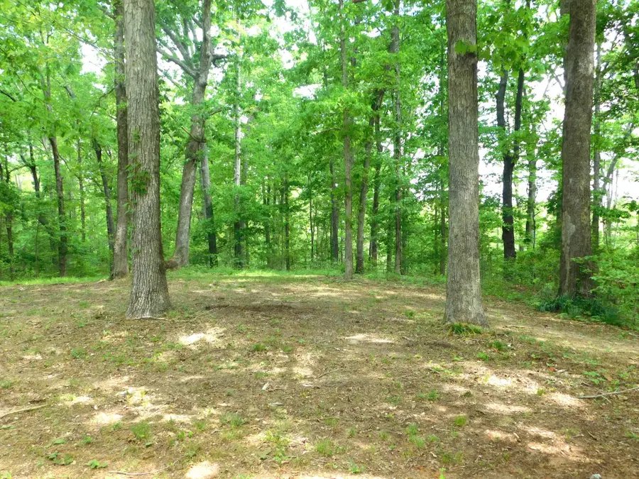 128 Harden's Chapel Road, Fulton, MS 38843 - #3