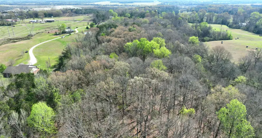 621 Birmingham Ridge Rd, Saltillo, MS 38866 - #2