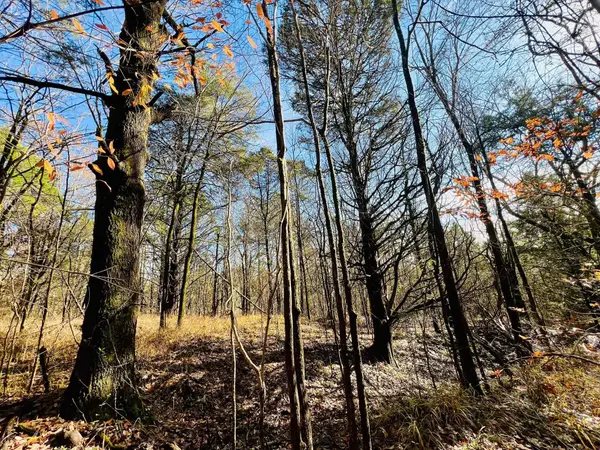 Miracle Temple Rd, Byhalia, MS 38611