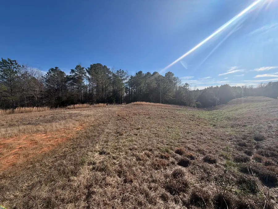 (32+/- Acres) Hwy 23, Golden, MS 38847 - Image #2