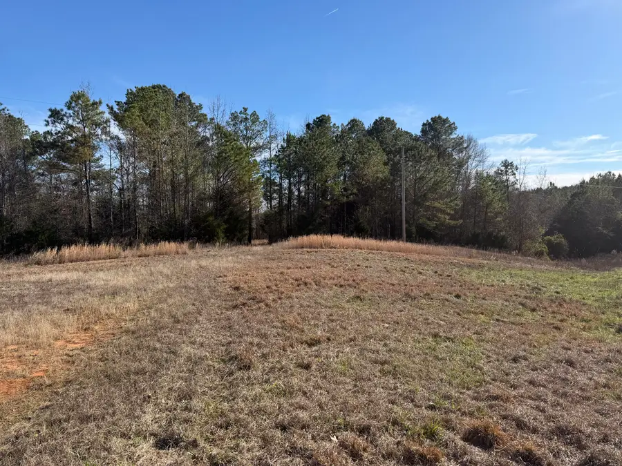 (32+/- Acres) Hwy 23, Golden, MS 38847 - Image #3