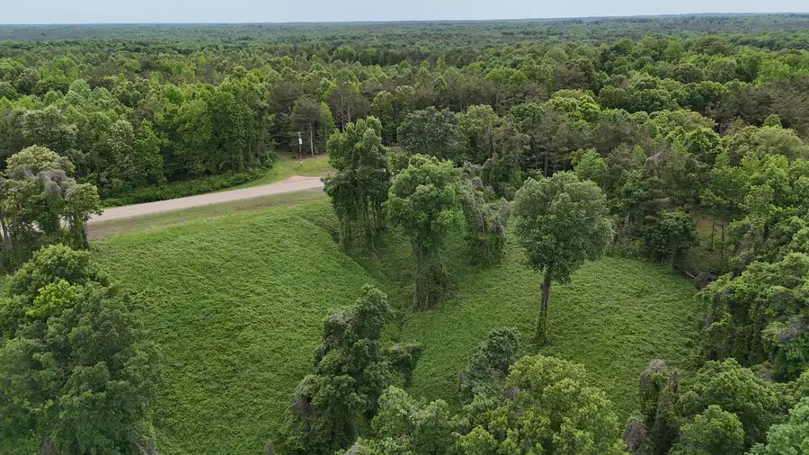 Ms-41, Pontotoc, MS 38863 - #3