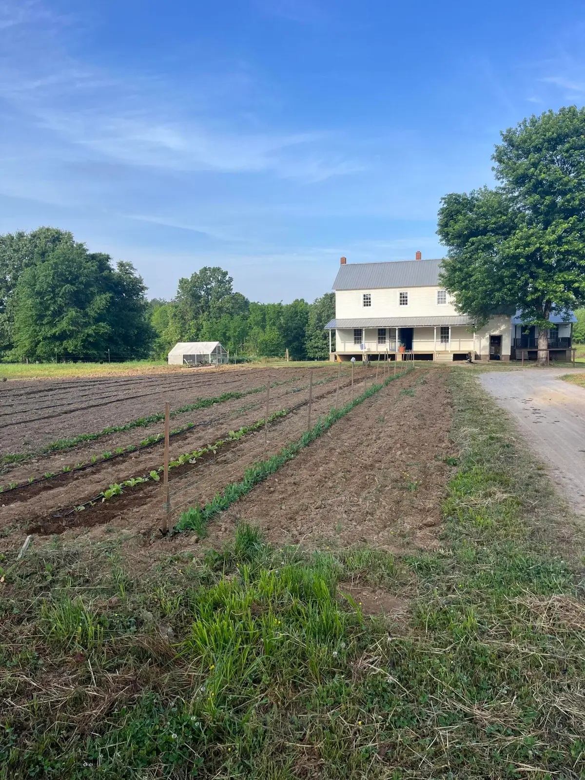 1038 Houpt Road, Pontotoc, MS 38863 - #1
