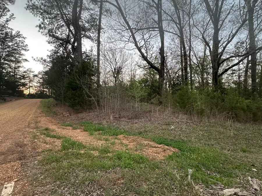Ms - 32, Houston, MS 38851 - #3