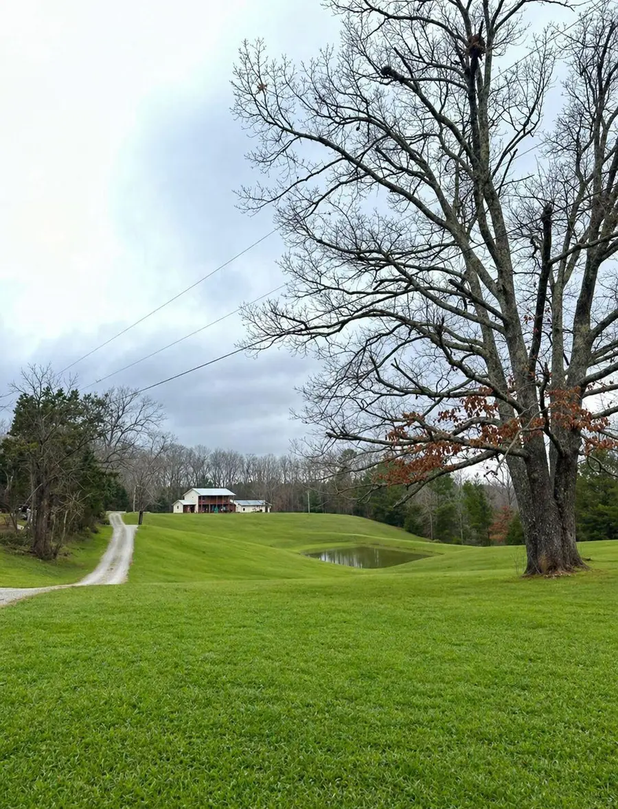 780 Walker Church Road, Golden, MS 38847 - #3
