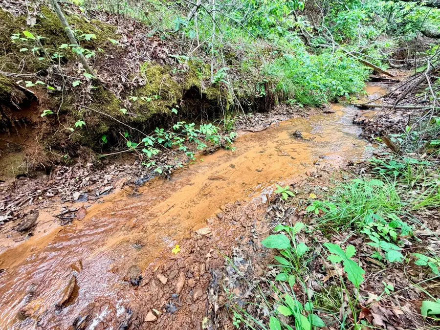Cr 600, Dumas, MS 38625 - #2