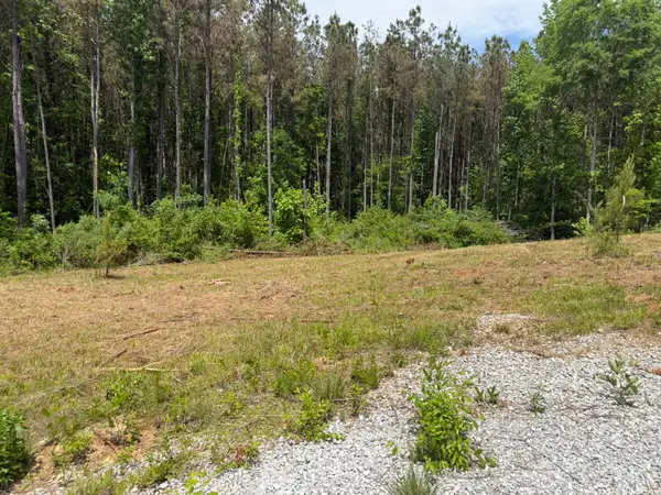 405 Bunch Lake Rd, Mantachie, MS 38855