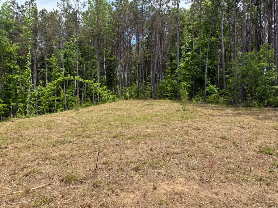 405 Bunch Lake Rd, Mantachie, MS 38855 - #3