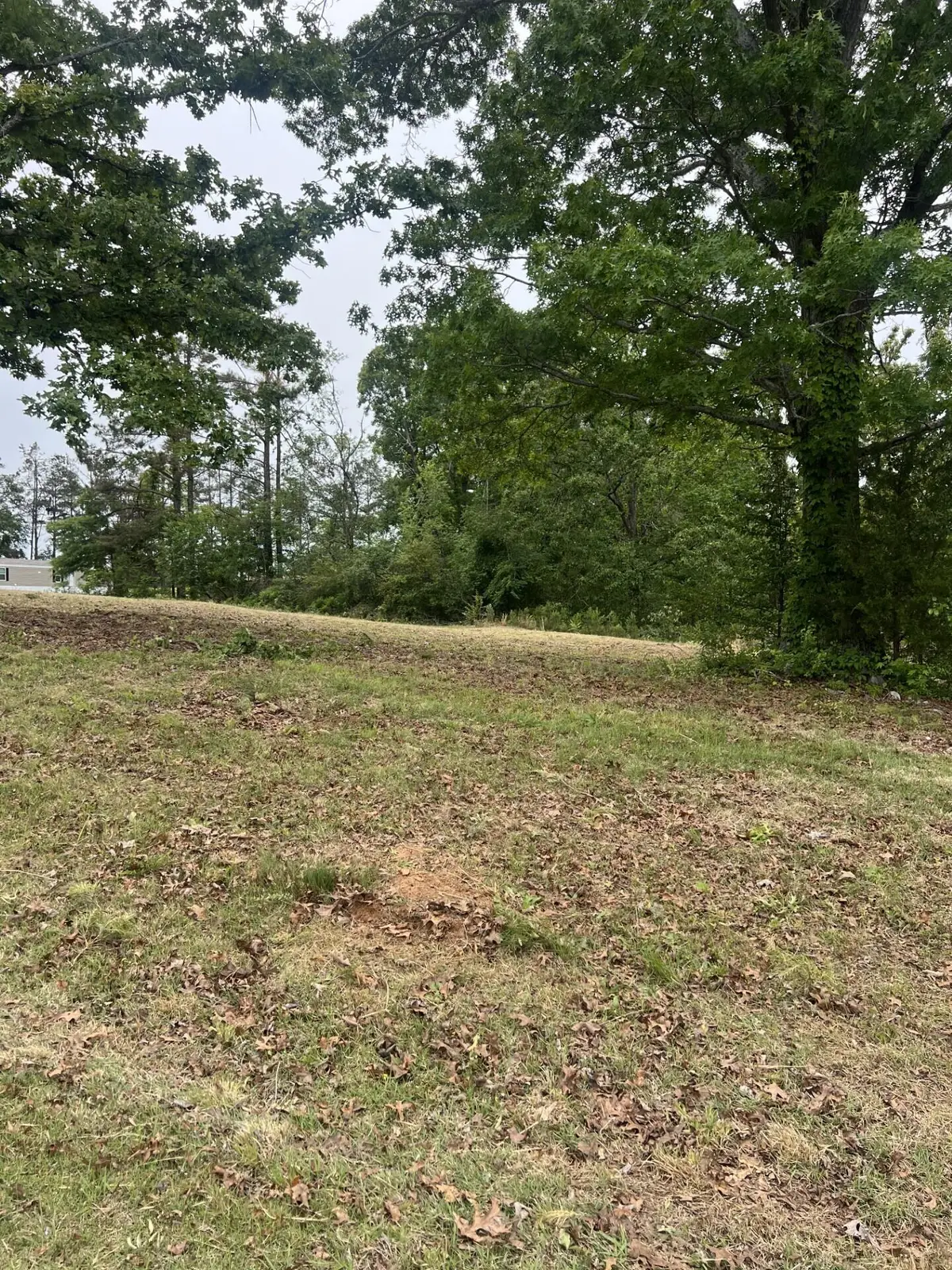 Cr 229, Farmington, MS 38834 - #1