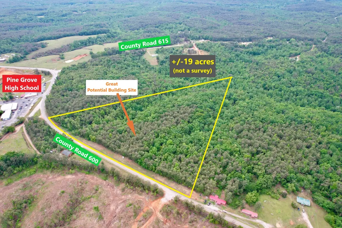 Co Rd 600, Dumas, MS 38625 - #1