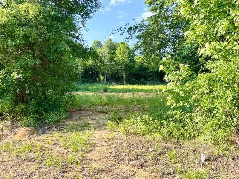 499 County Road 136, Okolona, MS 38860 - #3
