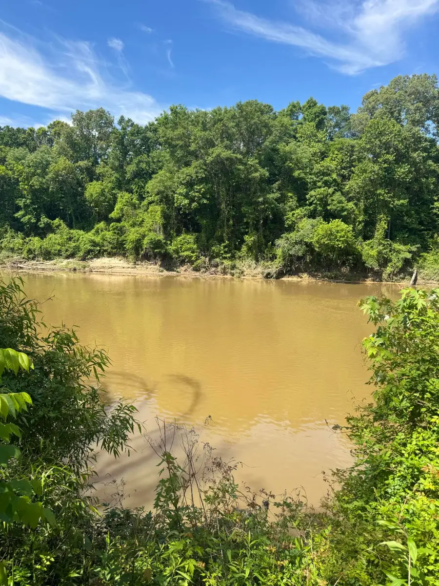 Cannon Hole, Amory, MS 38821 - #3