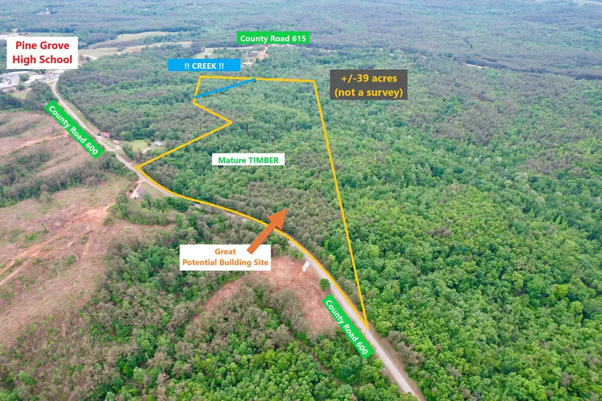 Co Rd 600, Dumas, MS 38625 - #1