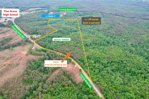 Co Rd 600, Dumas, MS 38625