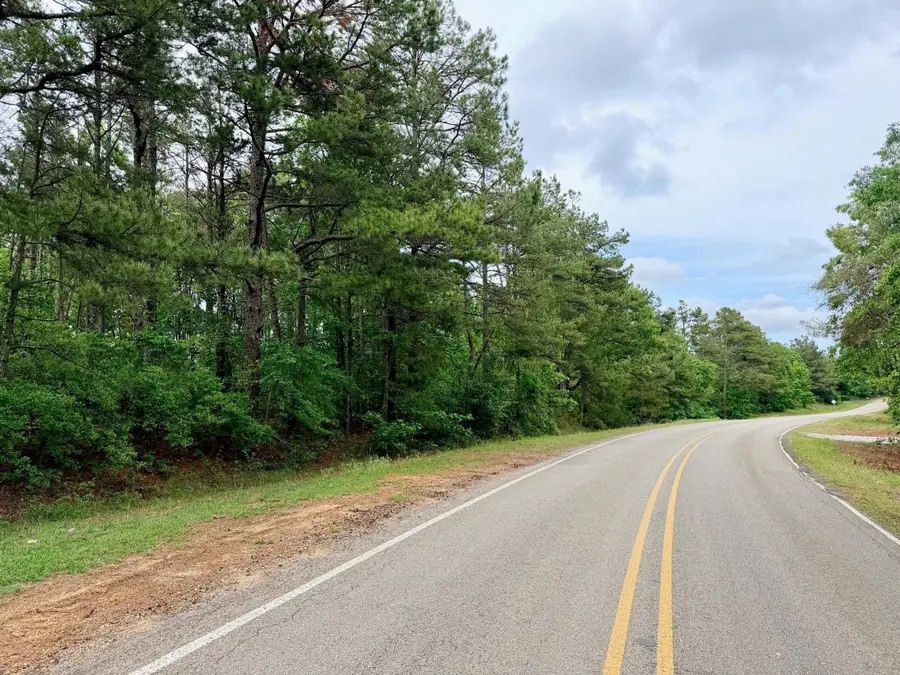 Co Rd 600, Dumas, MS 38625 - #3