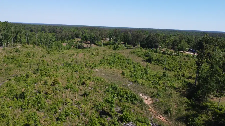 264 Co Rd 449, Rienzi, MS 38865 - #3