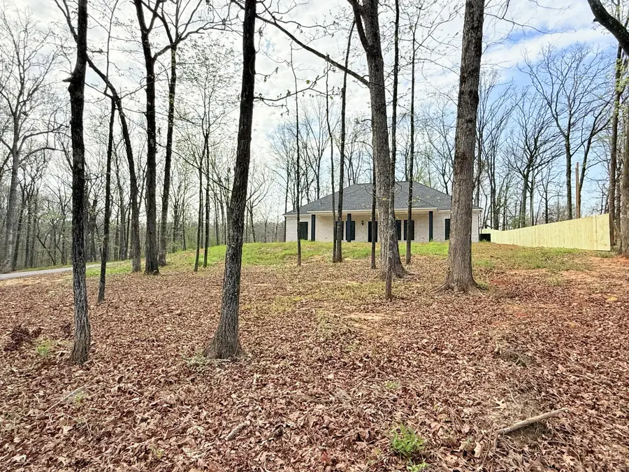 105 Brandywine Road, Belden, MS 38826 - #2