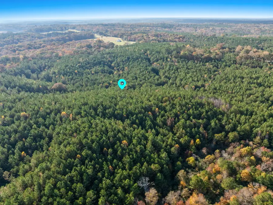 27 acres Pikesville Rd, Fulton, MS 38843 - #3