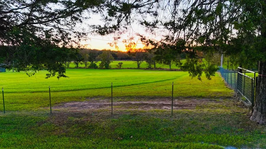 Cr 516, Rienzi, MS 38865 - #3