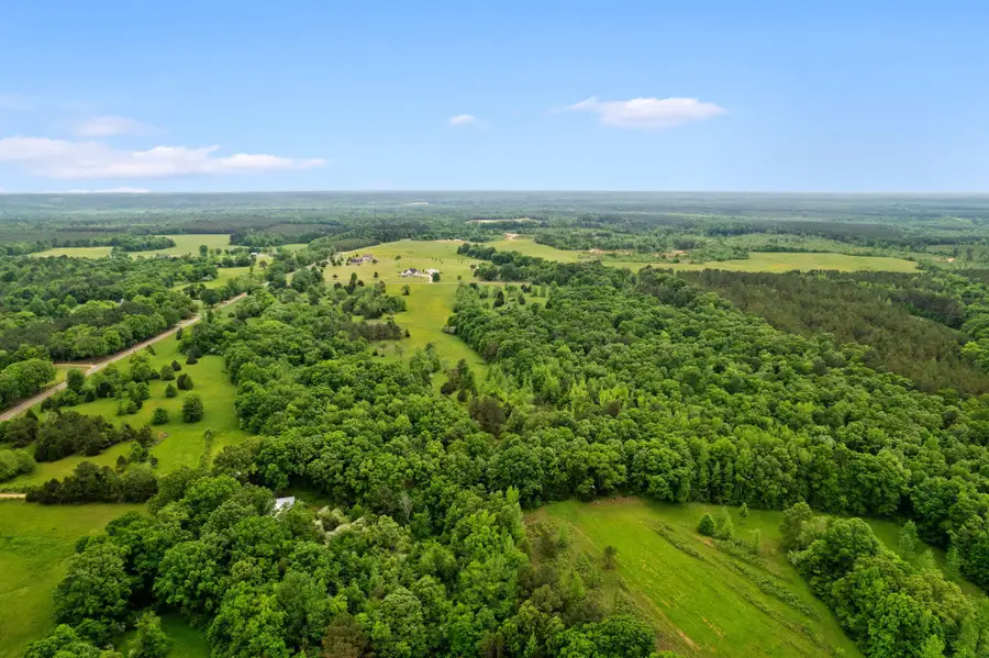 Lot 6 Carroll Rd, Michie, TN 38357 - #3