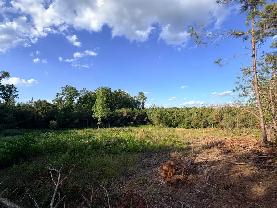 County Road 167, Baldwyn, MS 38824 - #2