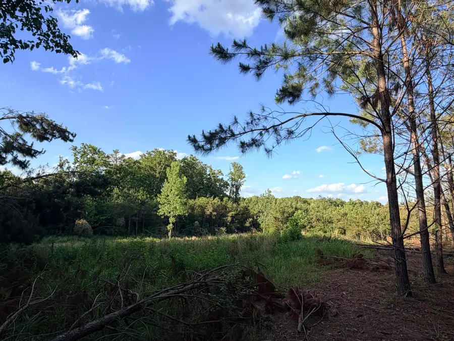 County Road 167, Baldwyn, MS 38824 - #3