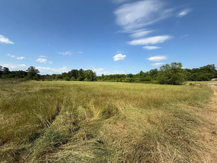 15.99 Ac, Chester Shumpert Rd, Fulton, MS 38843 - #2