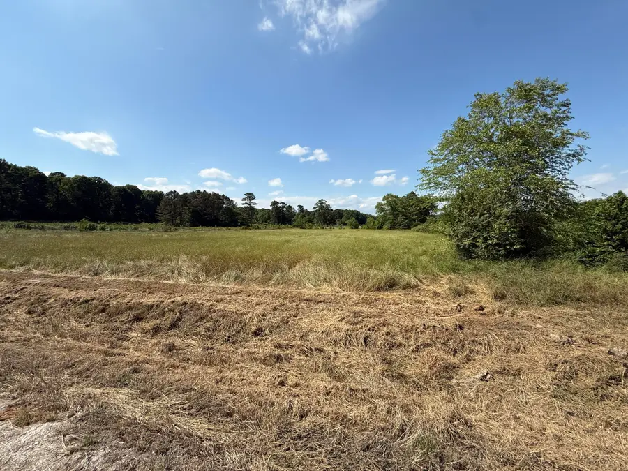 15.99 Ac, Chester Shumpert Rd, Fulton, MS 38843 - #3
