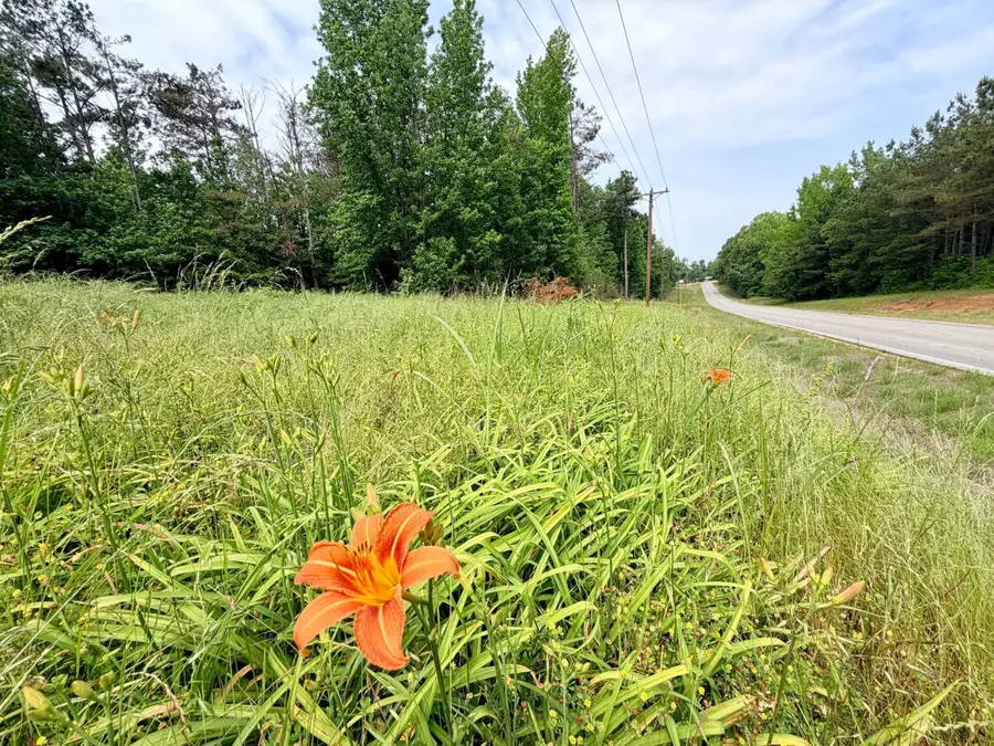 Highway 4, Booneville, MS 38829 - #2