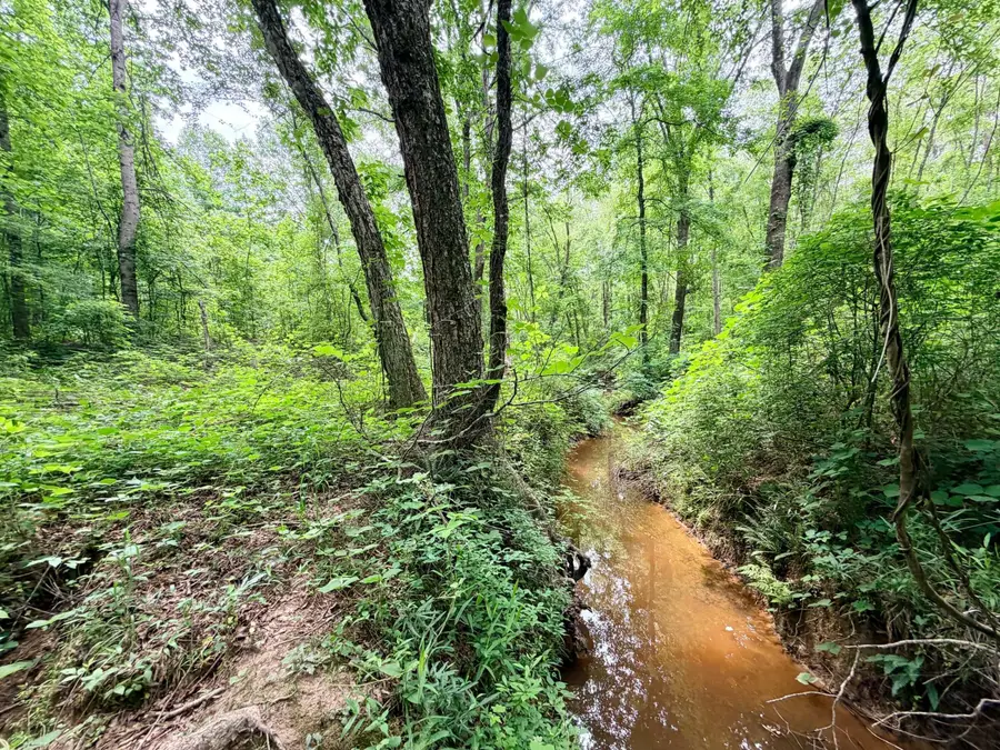 Highway 4, Booneville, MS 38829 - #3