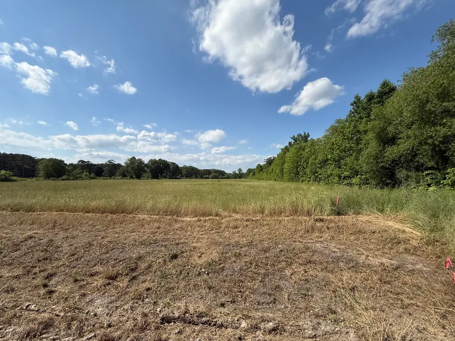 Chester Shumpert Rd, 20.33 Ac, Fulton, MS 38843 - #2