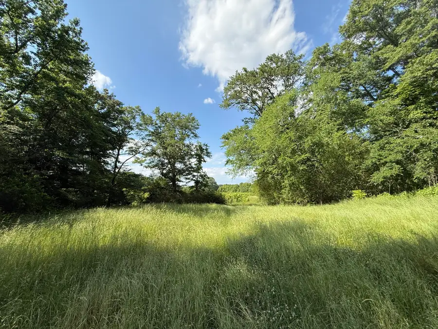 Chester Shumpert Rd 43.81 Ac, Fulton, MS 38843 - #2