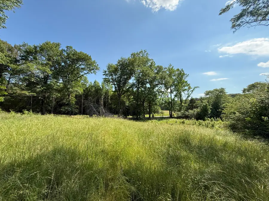 Chester Shumpert Rd 43.81 Ac, Fulton, MS 38843 - #3
