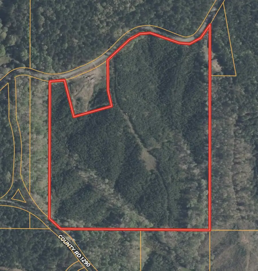 Co Rd 1251, Booneville, MS 38829 - #2