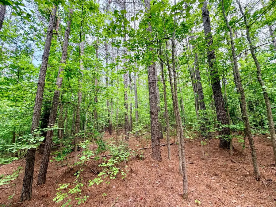 Highway 4, Booneville, MS 38829 - #3