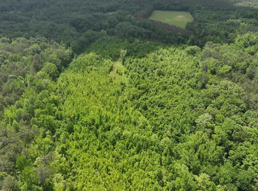 Hwy 30 E, Baldwyn, MS 38824 - #3
