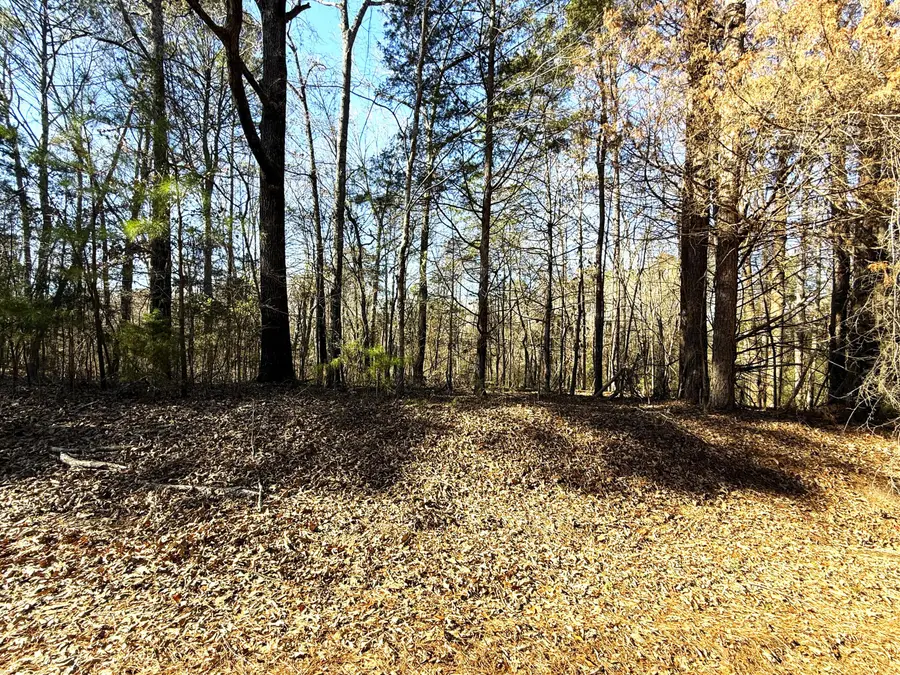 Lot 25 Burch Timbers, Fulton, MS 38843 - Image #3