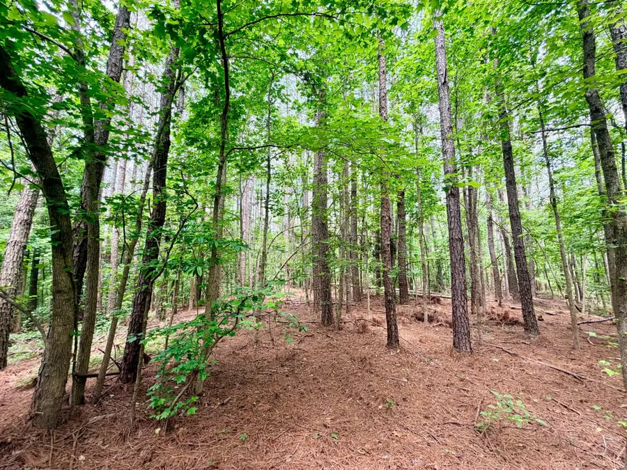 County Road 3080, Booneville, MS 38829 - #2