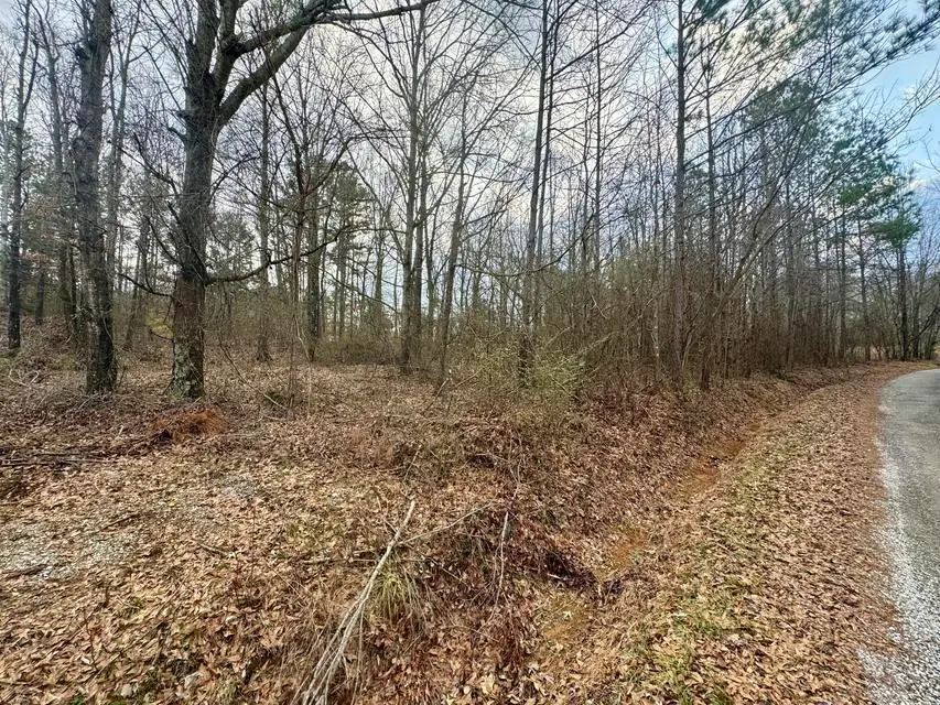 Lot 3 Sartain Road Rd, Dennis, MS 38838 - #3