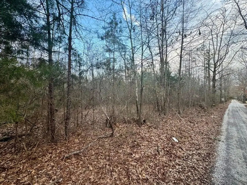 Lot 5 Cr 64 Rd, Dennis, MS 38838 - #3