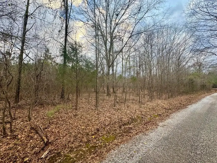 Lot 8 Sartain Rd, Dennis, MS 38838 - #1