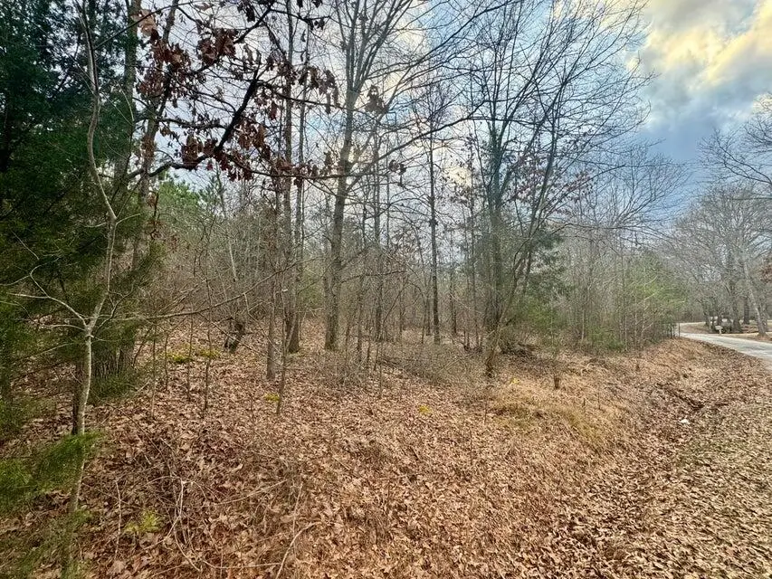 Lot 8 Sartain Rd, Dennis, MS 38838 - #3