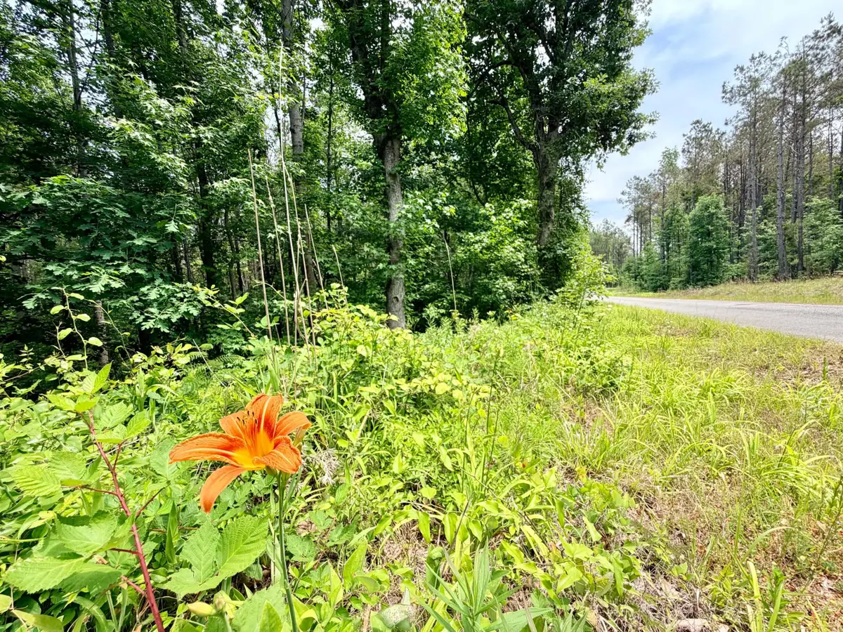 County Road 3080, Booneville, MS 38829 - #1