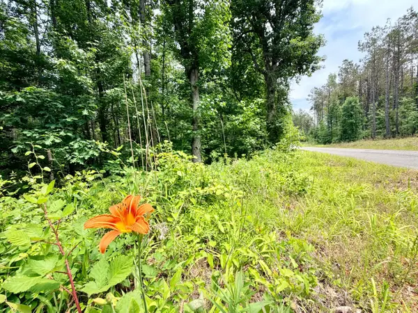 County Road 3080, Booneville, MS 38829