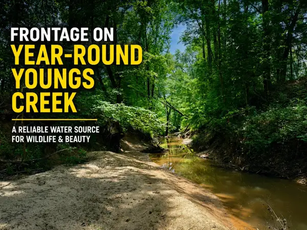 County Road 3080, Booneville, MS 38829
