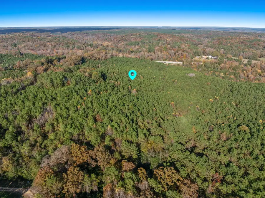 Hwy 78 17 Acres, Fulton, MS 38843 - #3