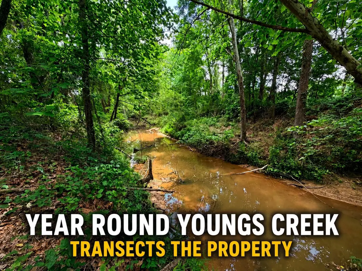 County Road 3080, Booneville, MS 38829 - #1